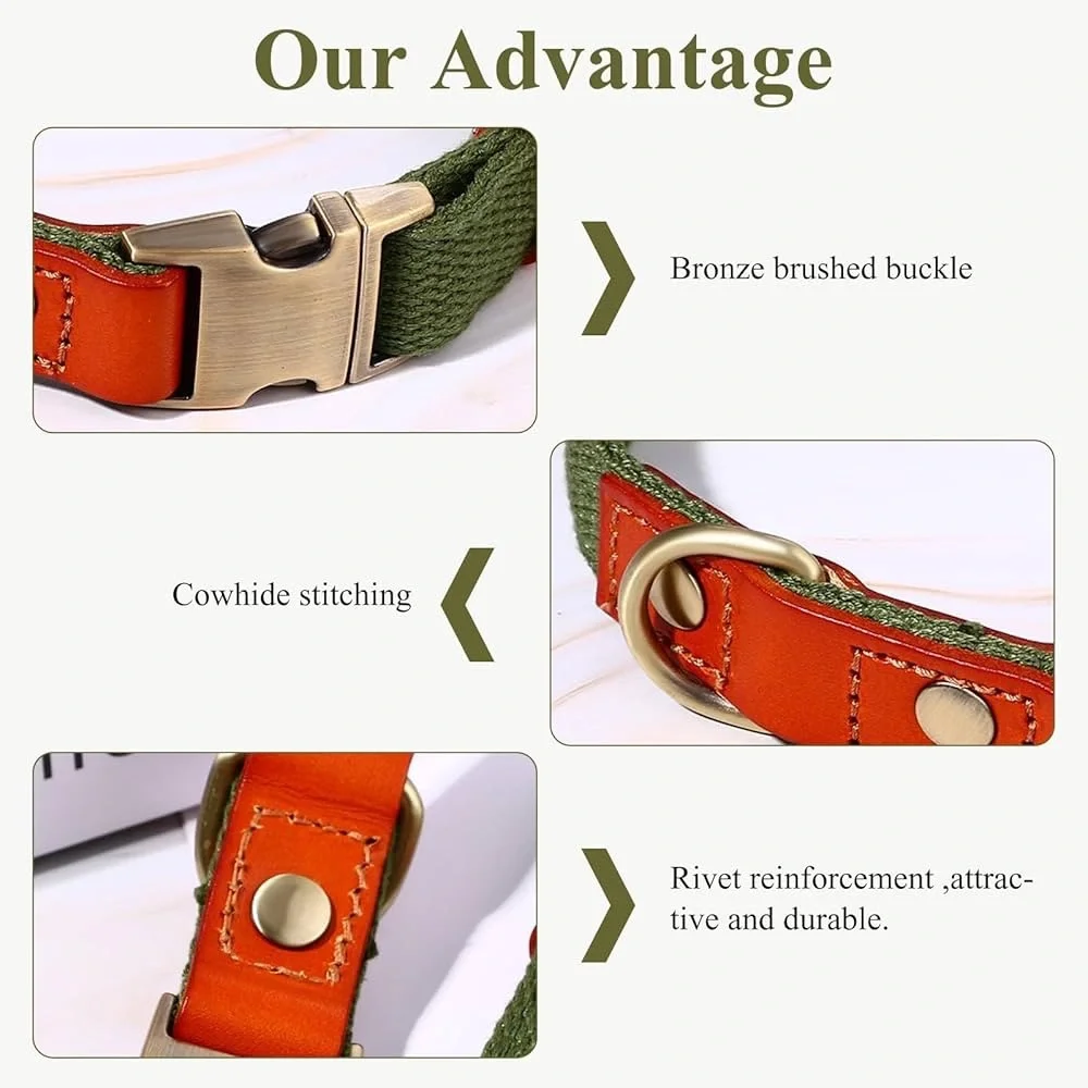 Ajustable Custom Dog Collar with Quick Release Buckle